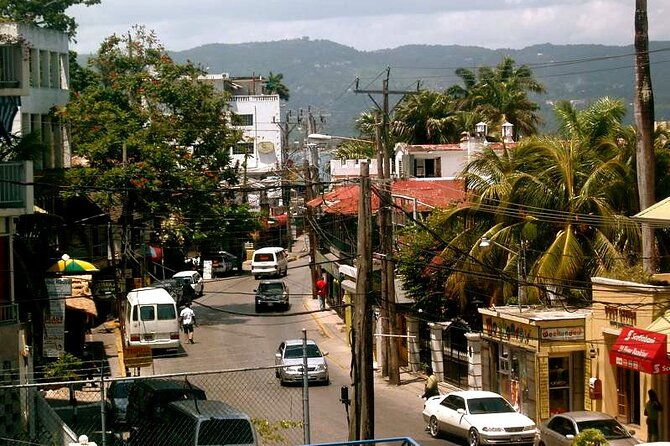 rockland-bird-sanctuary-plus-montego-bay-highlights-shopping-private-tour