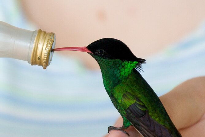 rockland-bird-sanctuary-private-tour