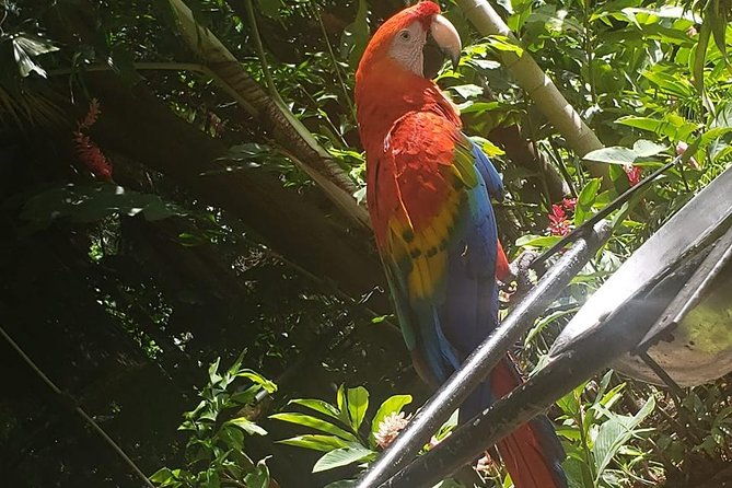 rockland-bird-sanctuary-tour-transportation-hotel-pick-up