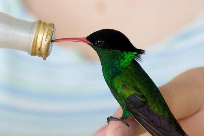 rockland-bird-sanctuary-tour-transportation-hotel-pick-up