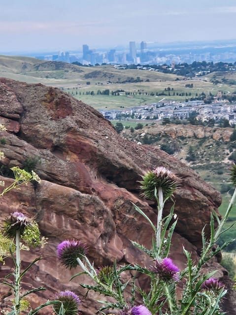 Rocky Mountain HIGH: Cannabis Mountain Tour - An Overview of the Experience