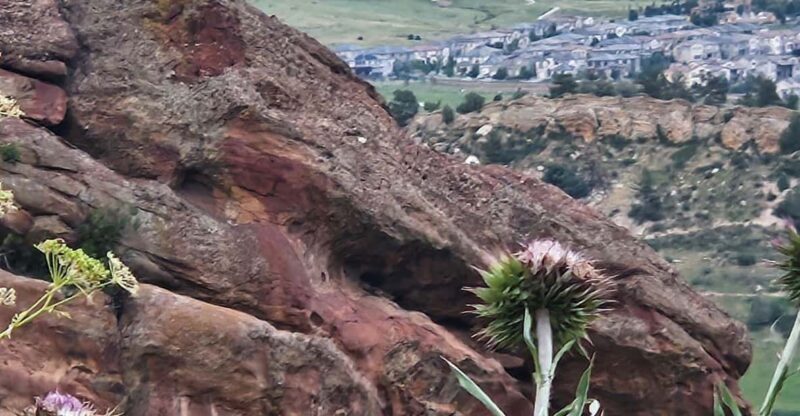 Rocky Mountain HIGH: Cannabis Mountain Tour - Who Will Love This Tour?
