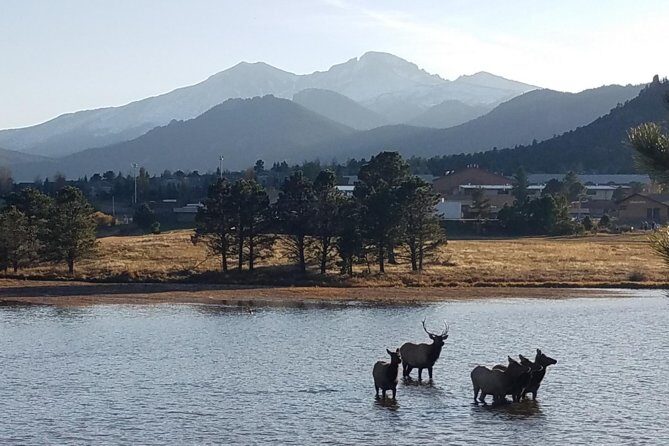 Rocky Mountain National Park and Estes Park Tour from Denver Winter and Spring - The Guides and Their Impact