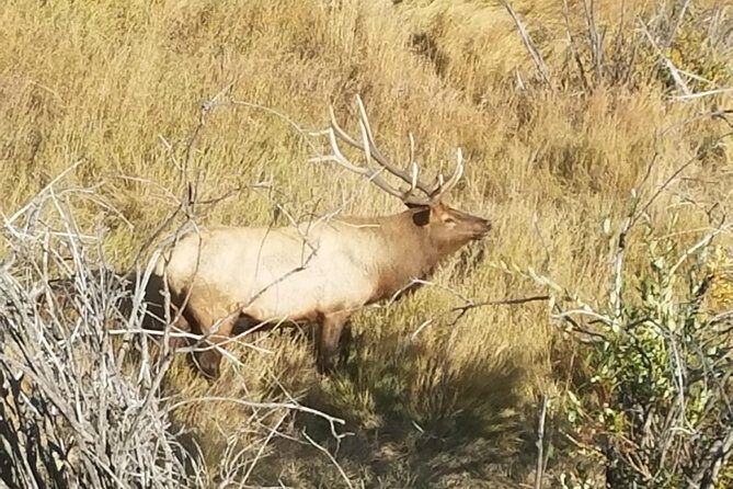Rocky Mountain National Park and Estes Park Tour from Denver Winter and Spring - Who Will Love This Tour?