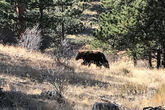 rocky-mountain-national-park-in-summer-tour-from-denver