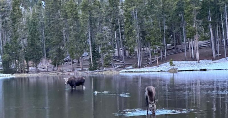 Rocky Mountain National Park: The Bear Lake Corridor - What You Can Expect in Terms of Itinerary