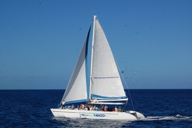 rodney-bay-to-soufriere-catamaran-transfer
