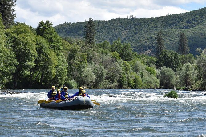 Rogue Valley Rapid Run - Pricing & Value