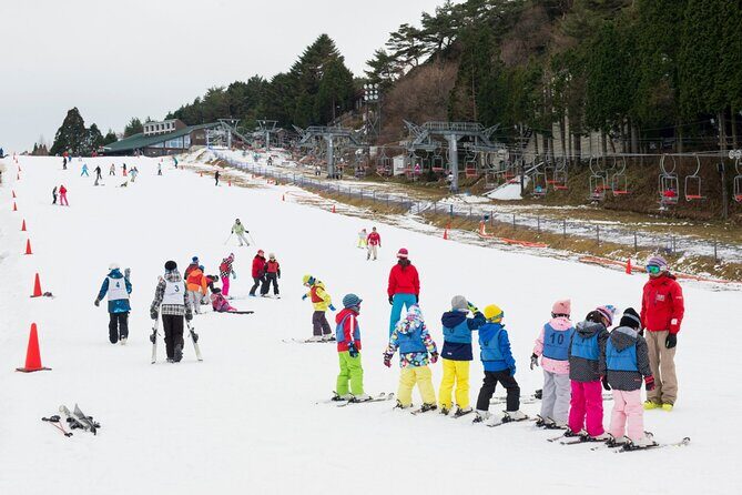 Rokko Snow Park Winter Ski and Arima Onsen Day Tour from Osaka - Transportation and Group Size
