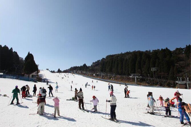 Rokko Snow Park Winter Ski and Arima Onsen Day Tour from Osaka - The Experience’s Overall Appeal