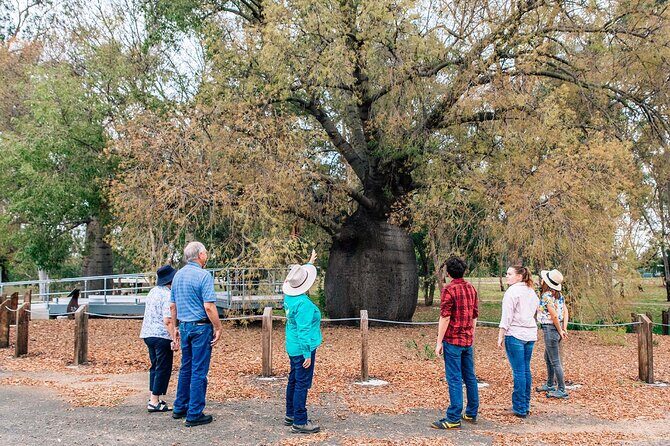 Roma Revelation Tour Experience - Why you should consider it: