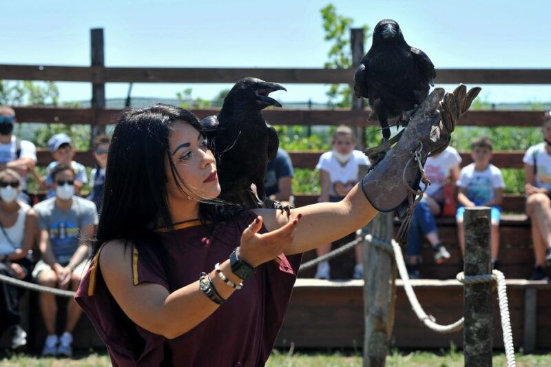 roma-world-the-park-to-live-a-day-as-an-ancient-roman