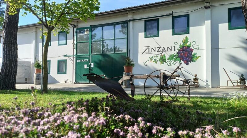 romagna-wine-tour-with-the-winemaker