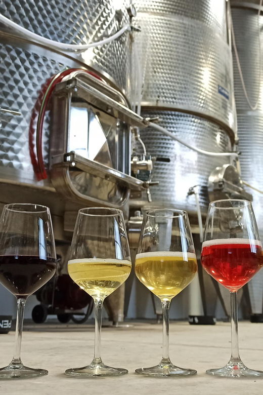 romagna-wine-tour-with-the-winemaker