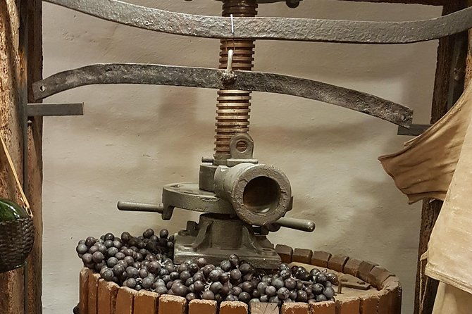 roman-countryside-wine-and-food-tasting-private-day-tour