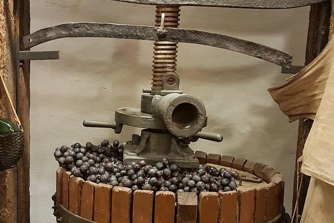 roman-countryside-wine-and-food-tasting-semi-private-day-tour