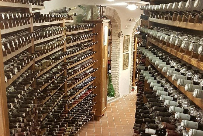 roman-countryside-wine-and-food-tasting-semi-private-day-tour