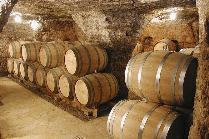 roman-heritages-and-chateauneuf-du-pape-wine-tour-from-avignon-2