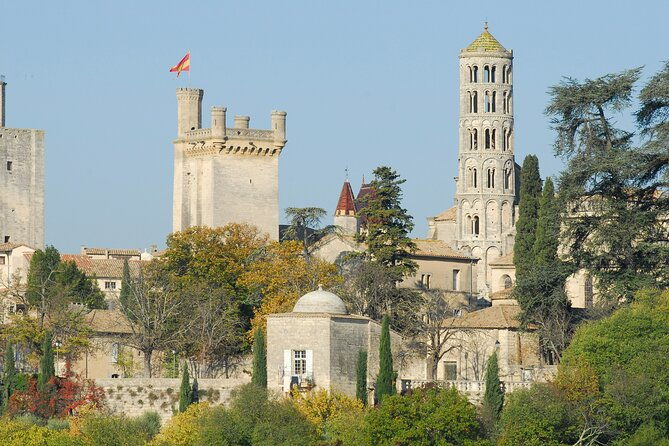 roman-heritages-and-chateauneuf-du-pape-wine-tour-from-avignon-2