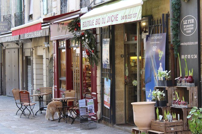 Roman Sites and Historical Places Day Trip from Avignon - Final Thoughts: Who Should Book This Tour?