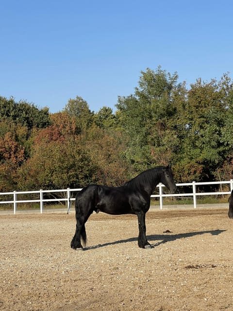 Romanian Wine Tasting Tour & Appetizers with Sommelier - Final Thoughts