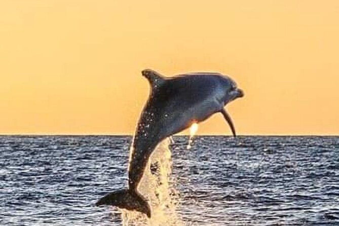 romantic-boat-trip-with-dolphin-watching