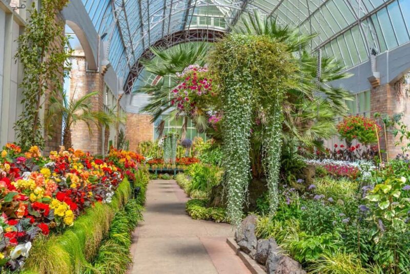 Romantic Charms of Auckland  Private Walking Tour - Exploring Auckland in Two Hours: What to Expect