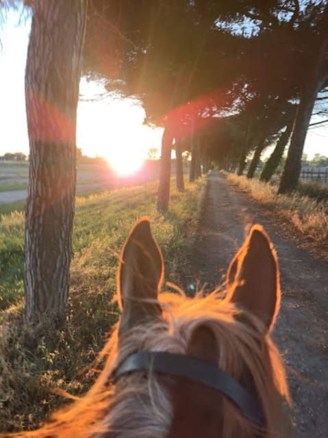 romantic-day-in-ancient-rome