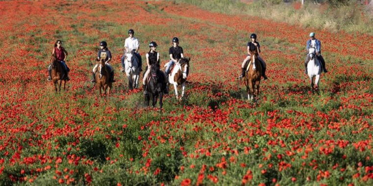 romantic-day-in-ancient-rome