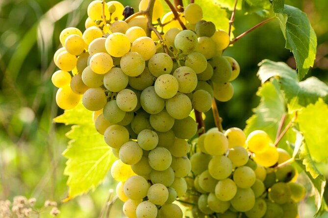 romantic-day-out-in-surrey-with-wine-tasting-for-couples
