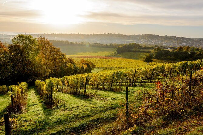 romantic-day-out-in-surrey-with-wine-tasting-for-couples