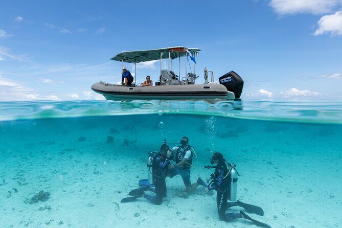 Romantic dive in the lagoon of Bora Bora. Private instructor on a shared boat - What You Can Expect from This Bora Bora Dive Experience