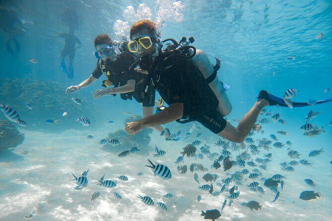 Romantic dive in the lagoon of Bora Bora. Private instructor on a shared boat - Who Is This Tour For?