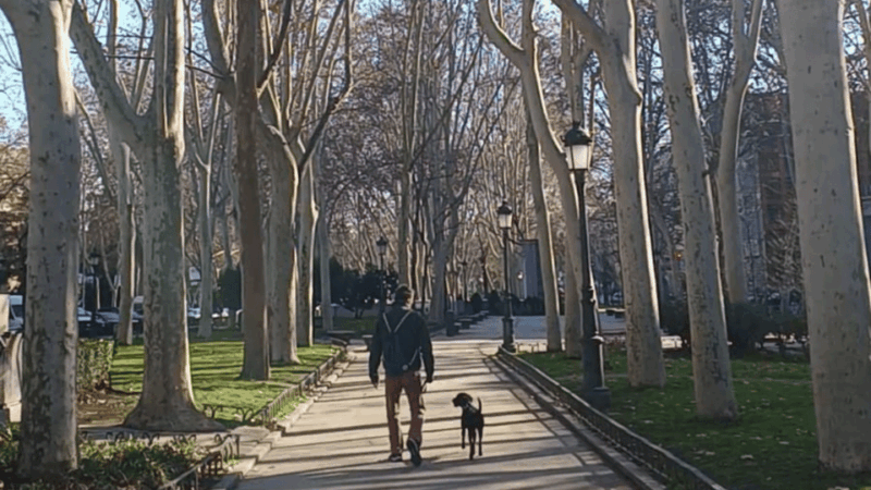 romantic-madrid-in-the-19th-century