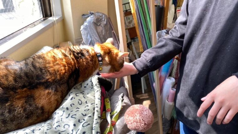 romantic-mizuhiki-knot-and-omikuji-washi-charm-workshop-ueno