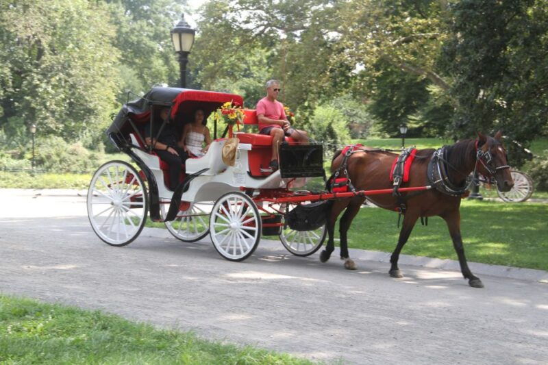 romantic-proposal-central-park-carriage-tour-up-to-4-adults-2
