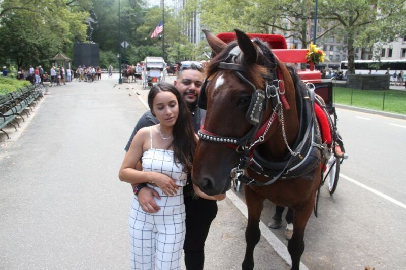 romantic-proposal-central-park-carriage-tour-up-to-4-adults-2