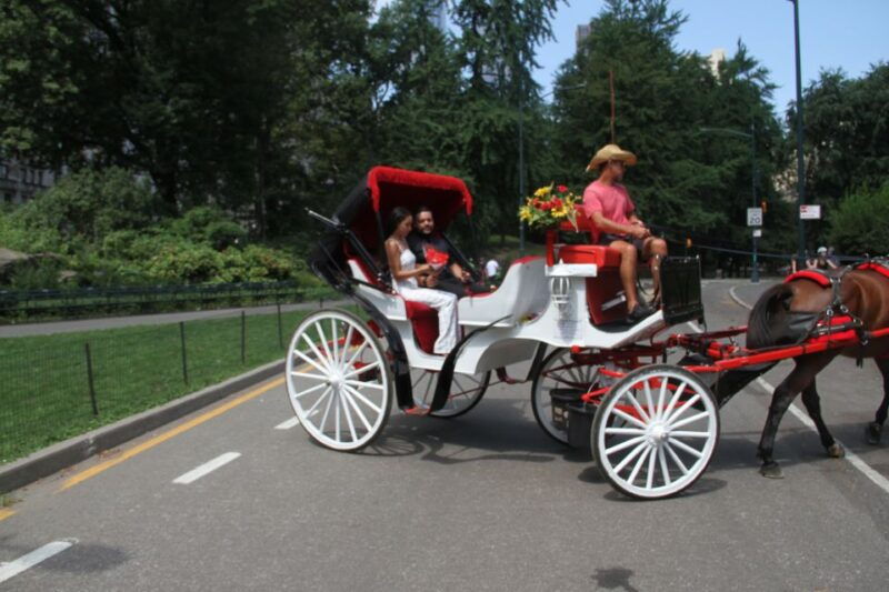 romantic-proposal-central-park-carriage-tour-up-to-4-adults-2
