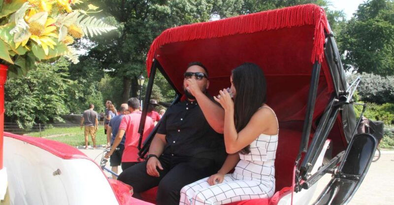 romantic-proposal-central-park-carriage-tour-up-to-4-adults-2