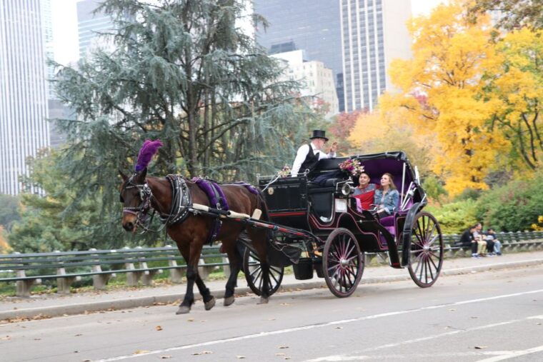 romantic-proposal-central-park-carriage-tour-up-to-4-adults-2