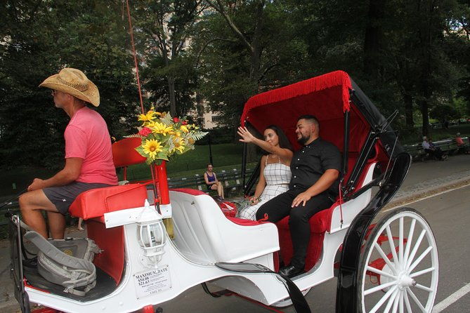 romantic-proposal-central-park-carriage-tour-up-to-4-adults