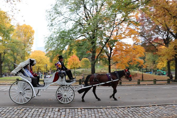 romantic-proposal-central-park-carriage-tour-up-to-4-adults
