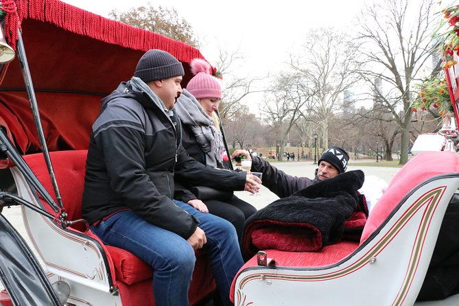 romantic-proposal-central-park-carriage-tour-up-to-4-adults