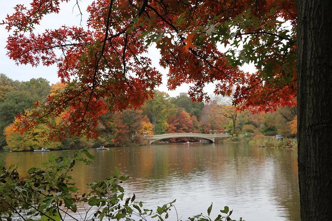 romantic-proposal-central-park-carriage-tour-up-to-4-adults