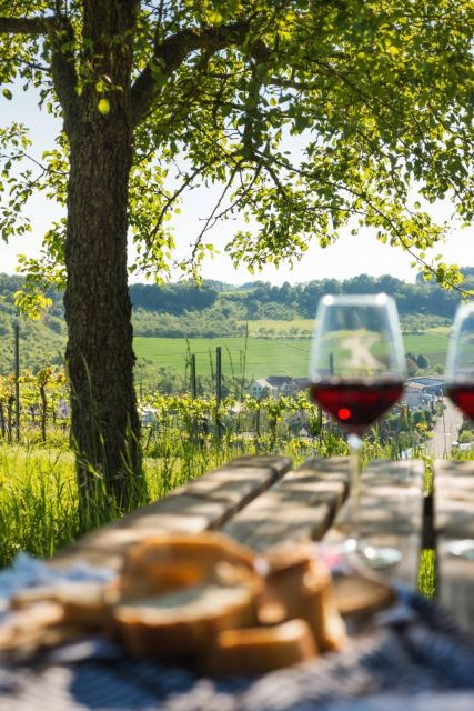 romantic-road-ticket-wurzburg-rothenburg-with-wine-tasting