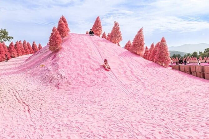 Romantic tour : Cherry blossom days in spring from Seoul - What to Expect on the Tour