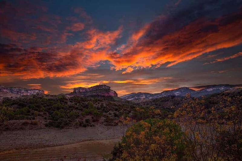 Romantic Tour, Wines and Picnic in Siurana and Priorat from Barcelona - The Sum Up: Who Is This Tour Perfect For?