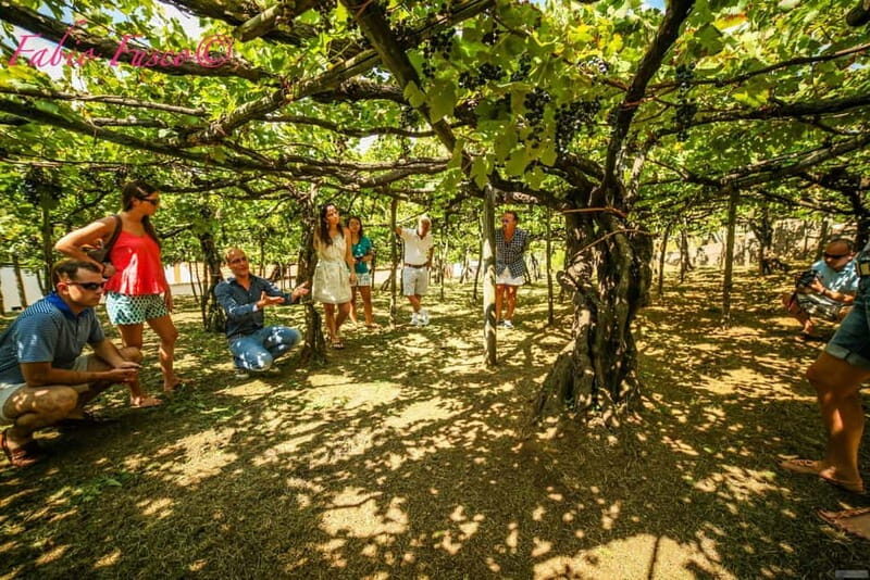 Romantic Tuk Tuk Tour with Wine Tasting in Amalfi Hills - FAQ