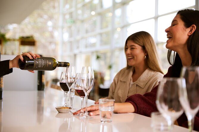 Romantic Vineyard Horse Riding and Picnic - An In-Depth Look at the Experience