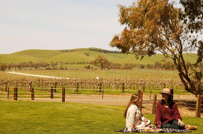 Romantic Vineyard Horse Riding and Picnic - FAQ